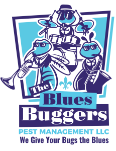 The Blues Buggers