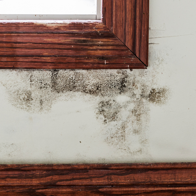 Mold growth and water damage on a wall beneath a wooden window frame, indicating moisture intrusion.
