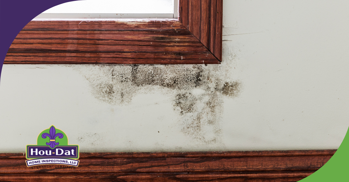 Mold growth and water damage on a wall beneath a wooden window frame, indicating moisture intrusion.
