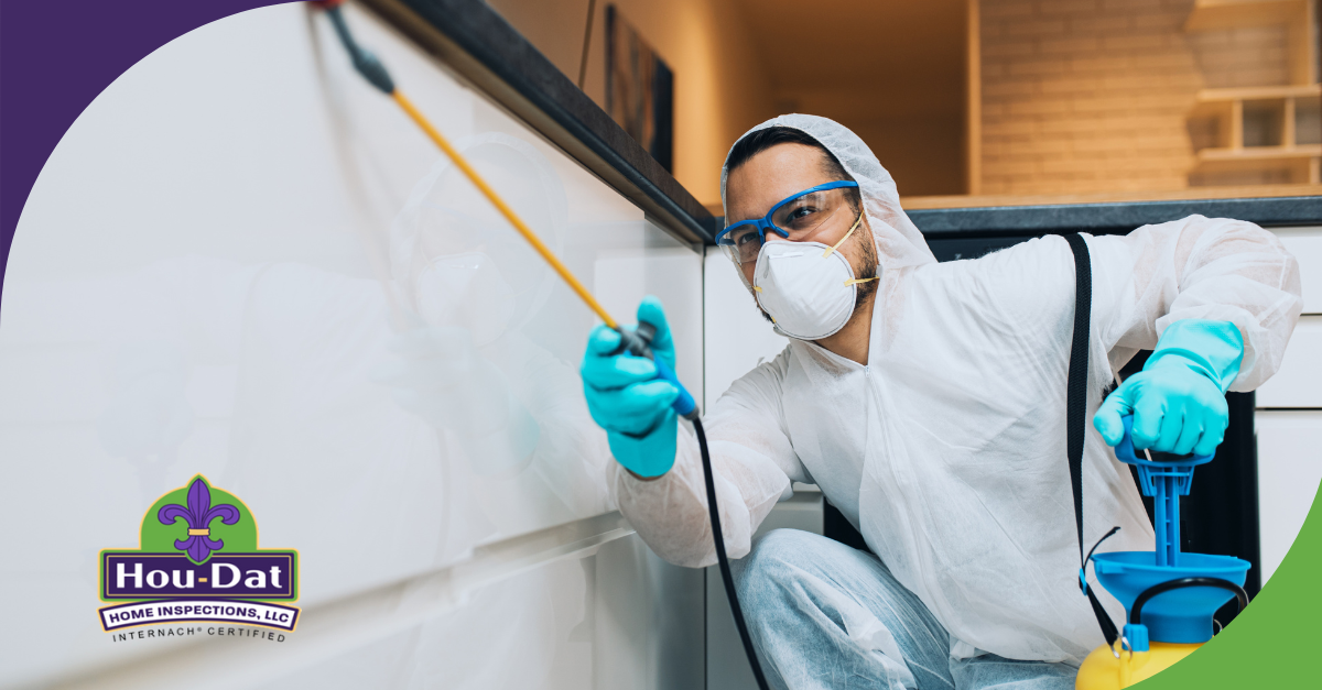 Home inspector wearing protective gear performing a pest inspection in a modern kitchen